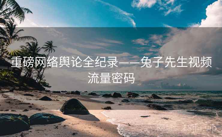 重磅网络舆论全纪录——兔子先生视频流量密码