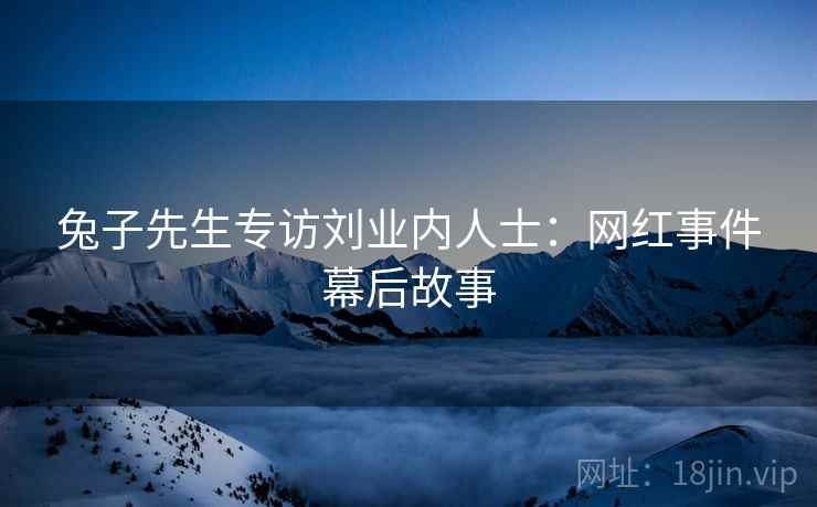 兔子先生专访刘业内人士：网红事件幕后故事